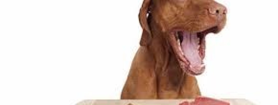Vers vlees is natuurlijk voer voor de hond